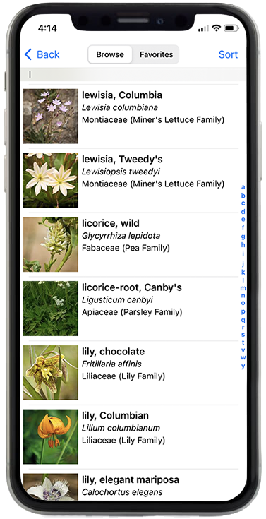 Washington Wildflowers plant list