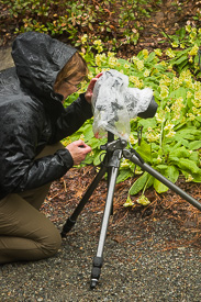 Photographer works in the rain