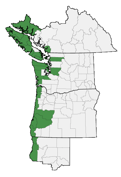 Map of where plant is found