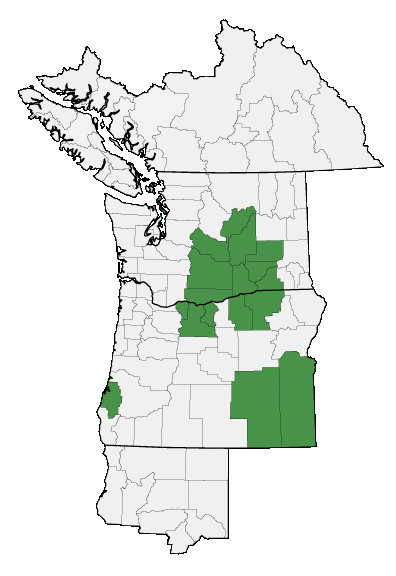 Map of where plant is found