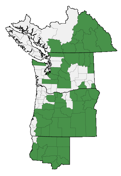 Map of where plant is found