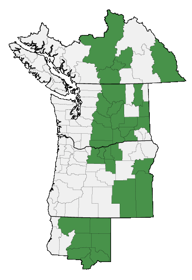 Map of where plant is found