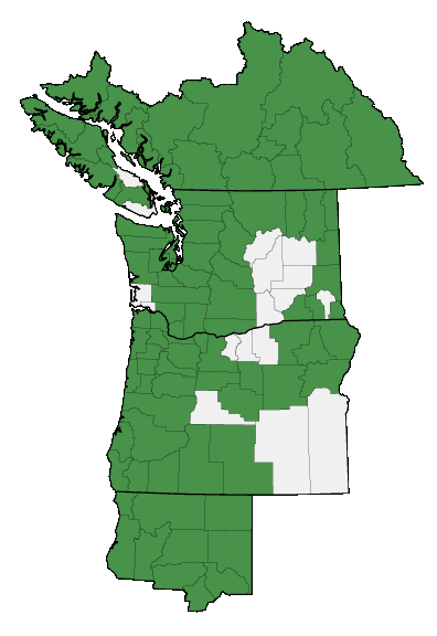 Map of where plant is found