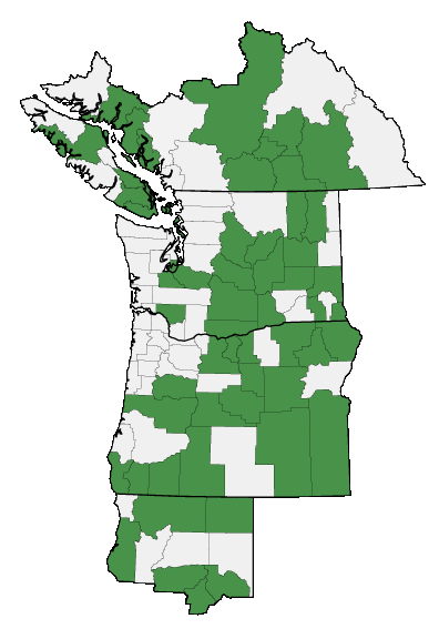 Map of where plant is found