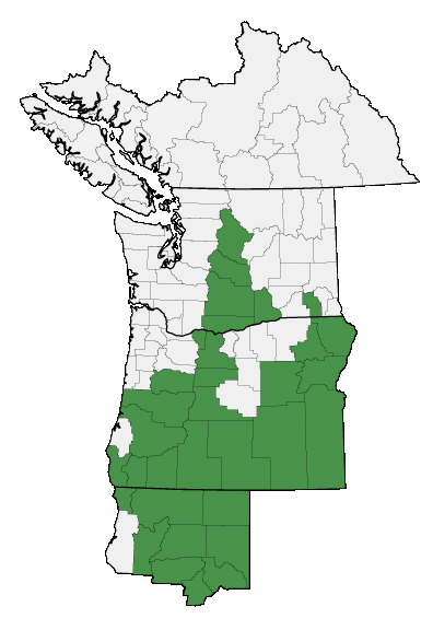 Map of where plant is found