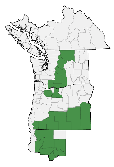 Map of where plant is found