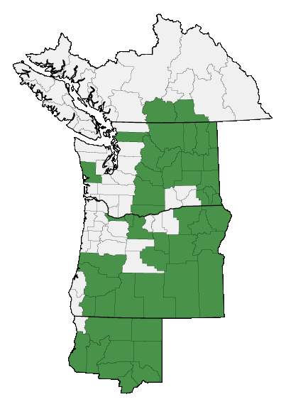 Map of where plant is found