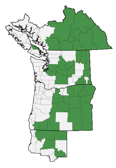 Map of where plant is found