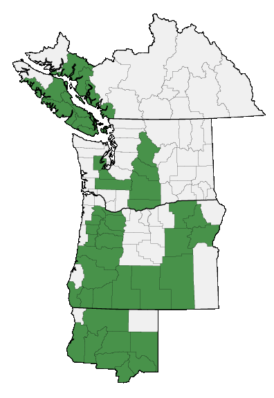 Map of where plant is found