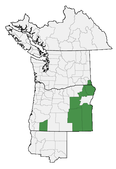 Map of where plant is found