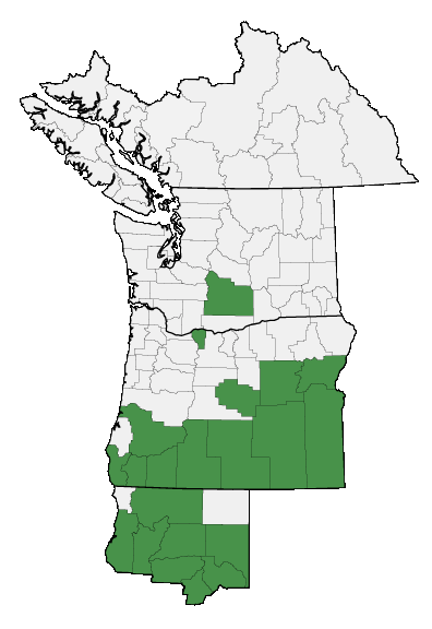 Map of where plant is found