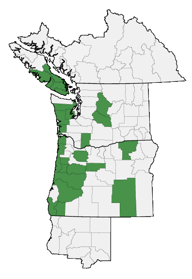 Map of where plant is found