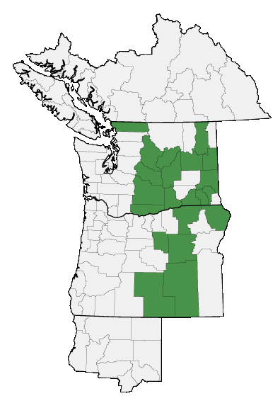 Map of where plant is found