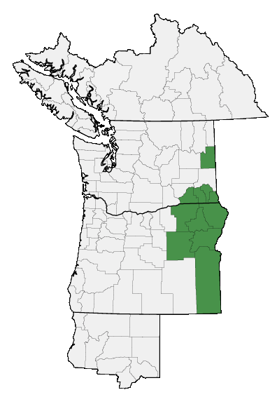 Map of where plant is found