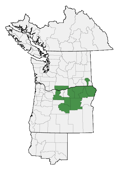 Map of where plant is found