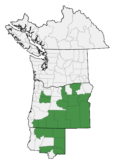 Map of where plant is found