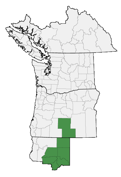 Map of where plant is found