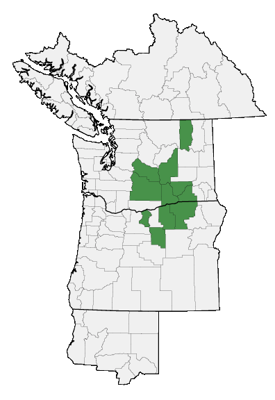 Map of where plant is found