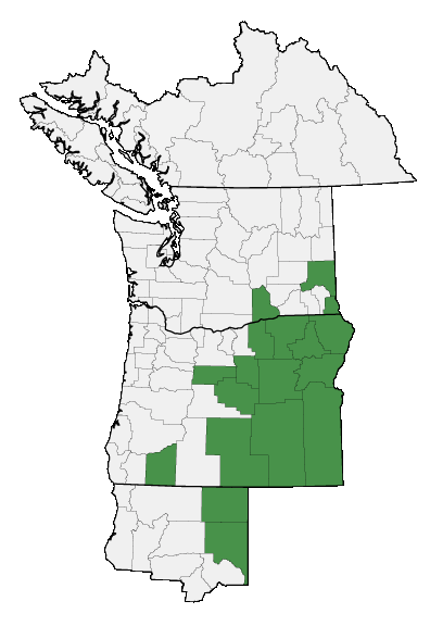 Map of where plant is found