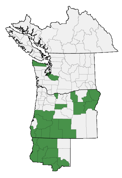 Map of where plant is found