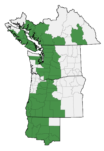 Map of where plant is found
