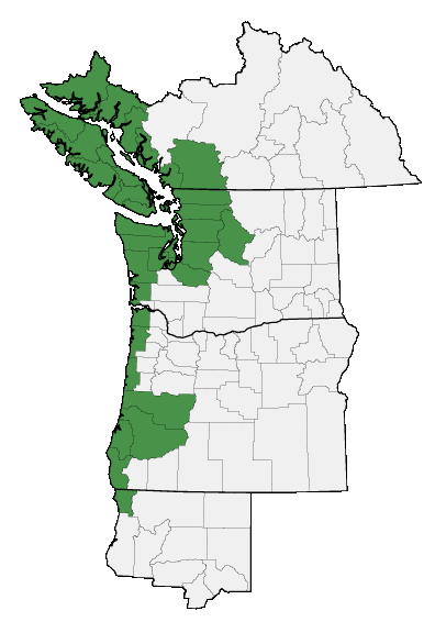 Map of where plant is found