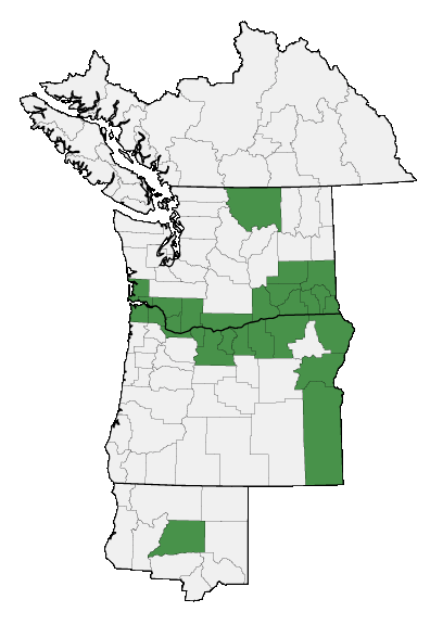 Map of where plant is found