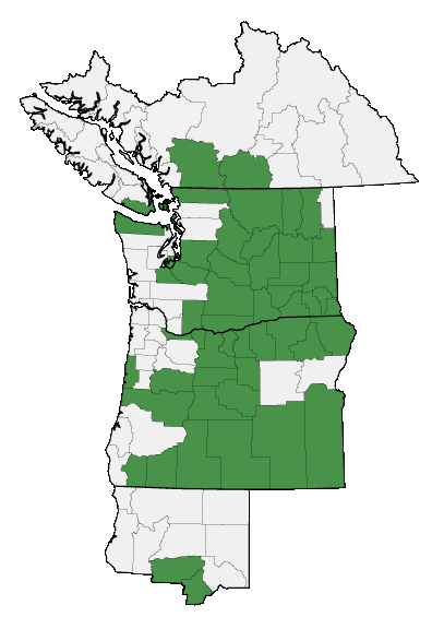 Map of where plant is found