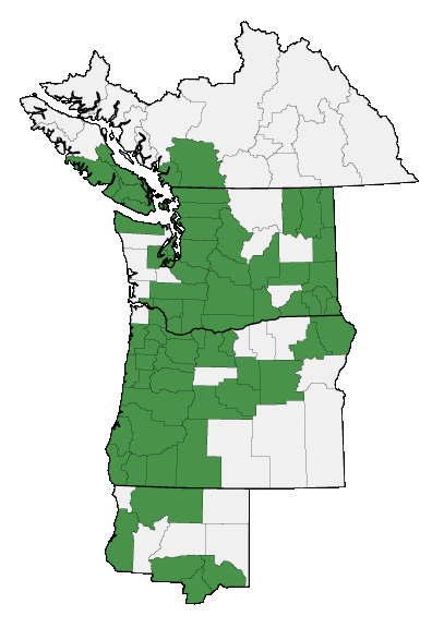 Map of where plant is found