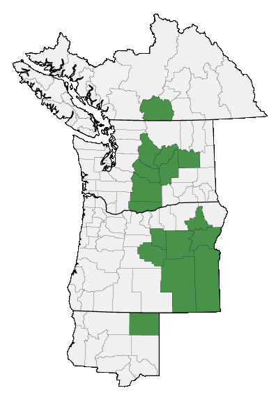 Map of where plant is found