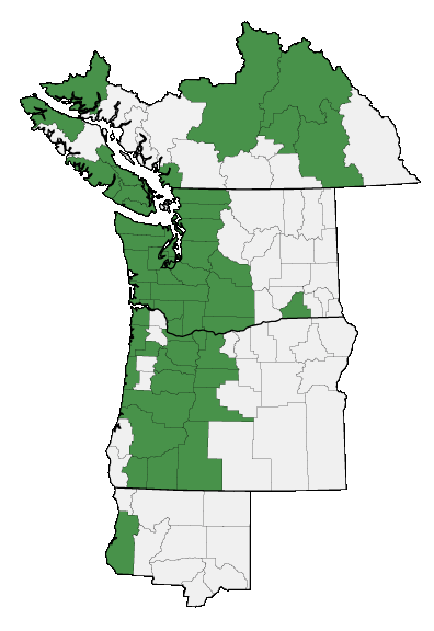 Map of where plant is found