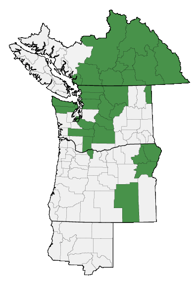 Map of where plant is found