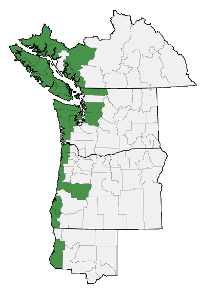 Map of where plant is found