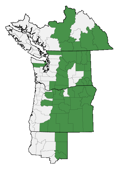 Map of where plant is found