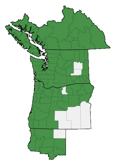 Map of where plant is found