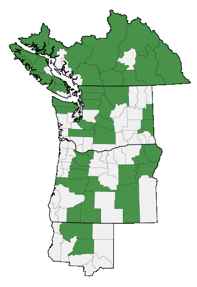 Map of where plant is found