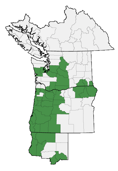 Map of where plant is found