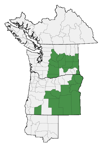 Map of where plant is found