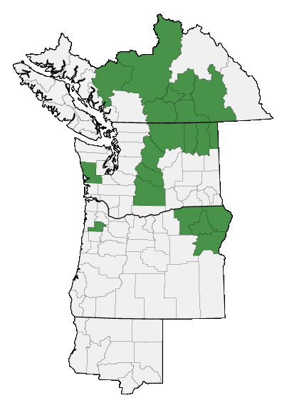 Map of where plant is found