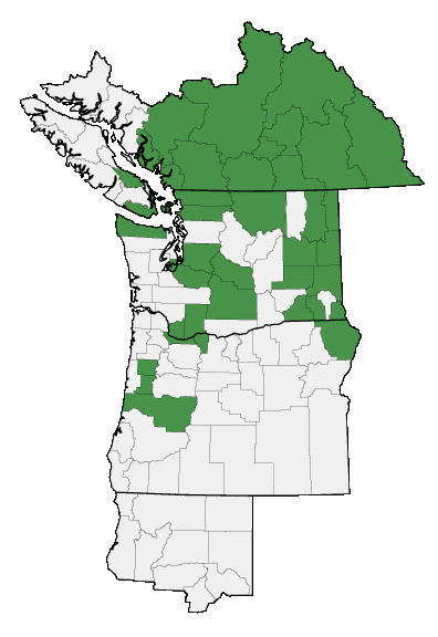 Map of where plant is found