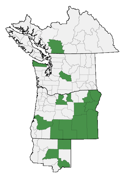 Map of where plant is found