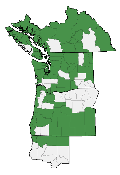 Map of where plant is found