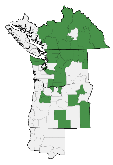 Map of where plant is found