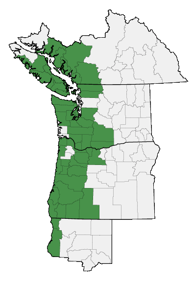 Map of where plant is found