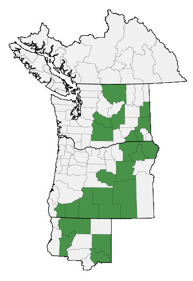 Map of where plant is found
