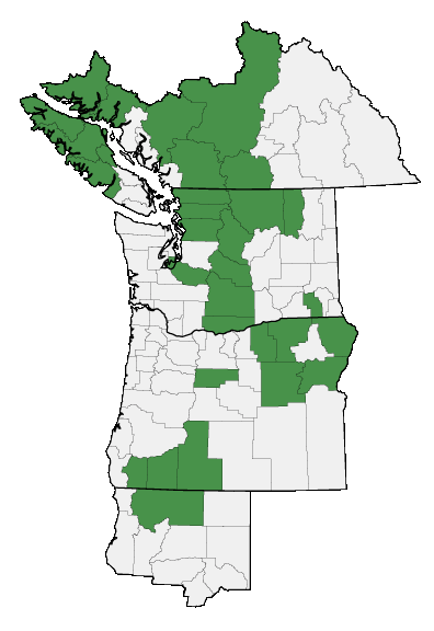 Map of where plant is found