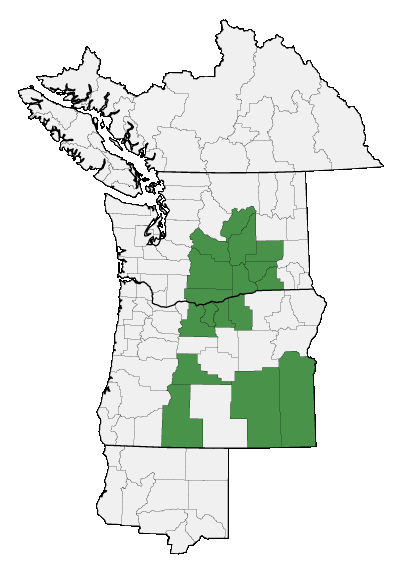 Map of where plant is found