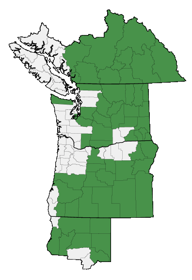 Map of where plant is found