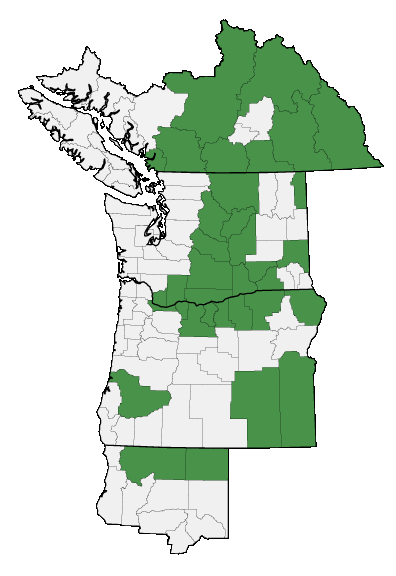 Map of where plant is found