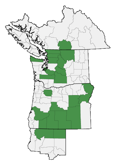 Map of where plant is found